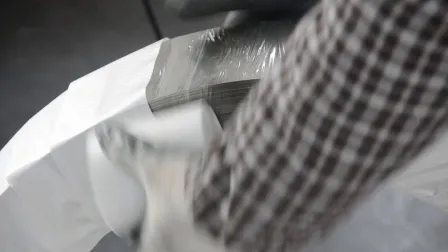 Ni200/Ni201/Nickel200/Nickel201 Purity 99.6% Pure Niquel Nickel Strip for 18650 Battery