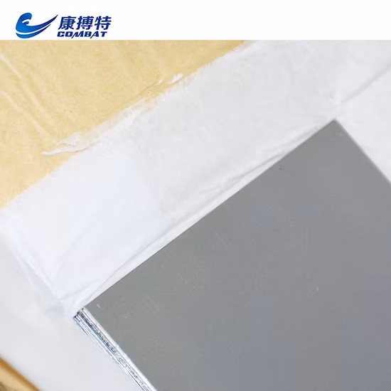Resistance to Corrosion High Melting Point Tantalum Sheet Plate