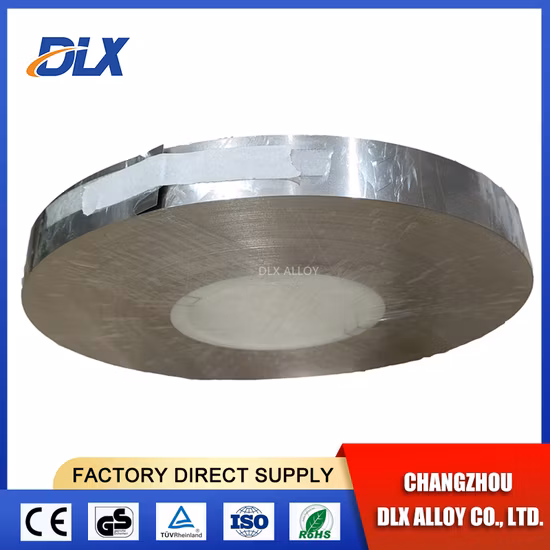Cr20ni80 Nickel Chrome Strip/Nickel Chromium Strip/Nichrome Strip